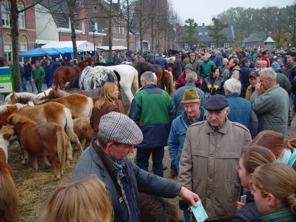 paardenmarkt20043.jpg