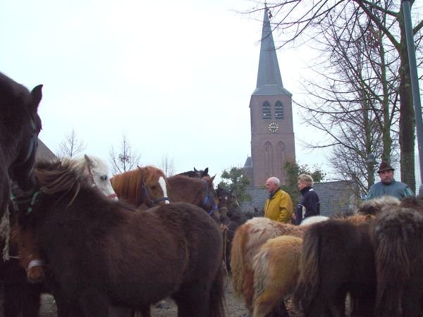 paardenmarkt20048.jpg