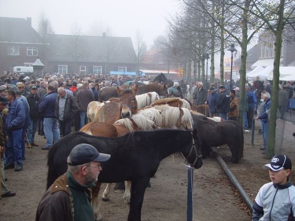 paardenmarkt20051.jpg