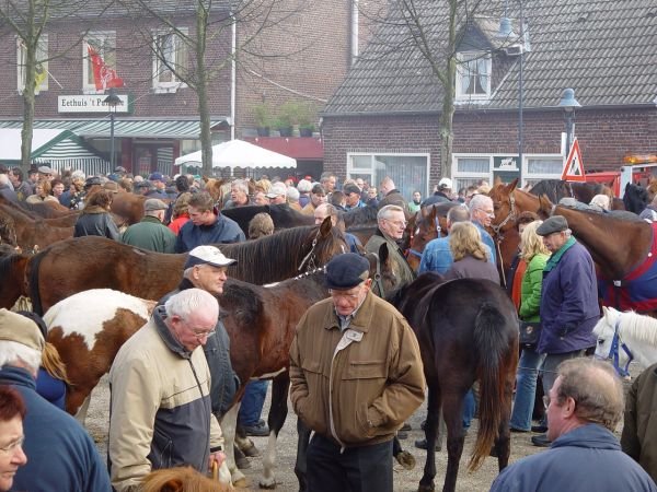 paardenmarkt200512.jpg