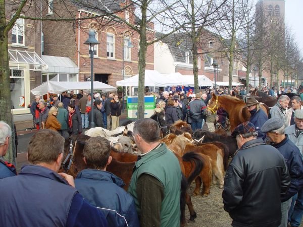 paardenmarkt200514.jpg