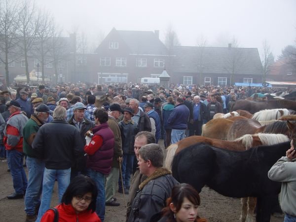 paardenmarkt20054.jpg