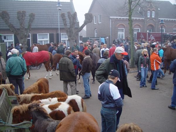 paardenmarkt20058.jpg