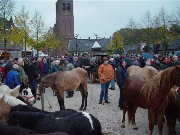 paardenmarkt20067.jpg