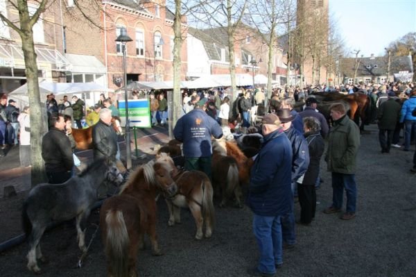 paardenmarkt200717.jpg