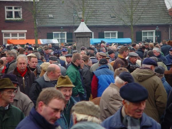 paardenmarkt200413.jpg
