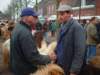 paardenmarkt200424_small.jpg