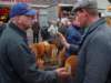 paardenmarkt200425_small.jpg