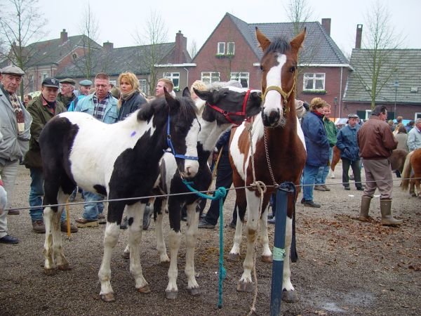 paardenmarkt200427.jpg