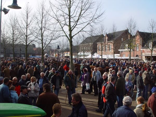 paardenmarkt200524.jpg