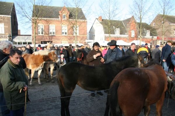 paardenmarkt20072.jpg