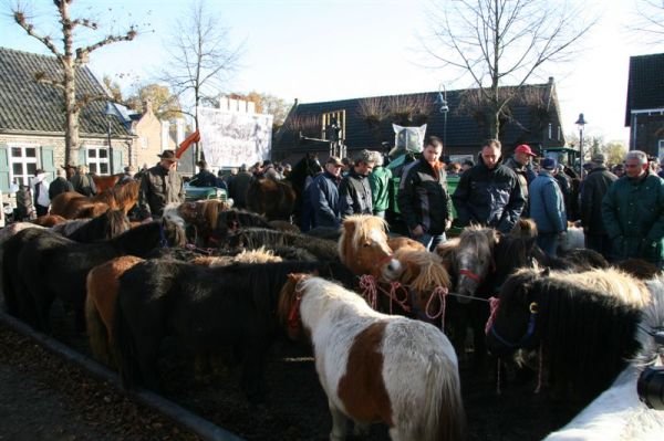 paardenmarkt20074.jpg