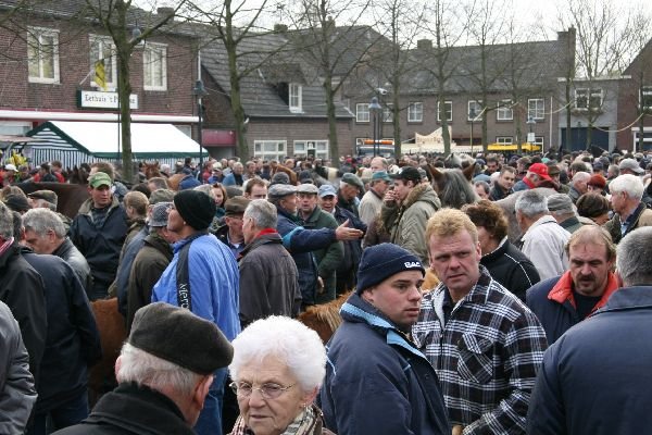 paardenmarkt13.jpg