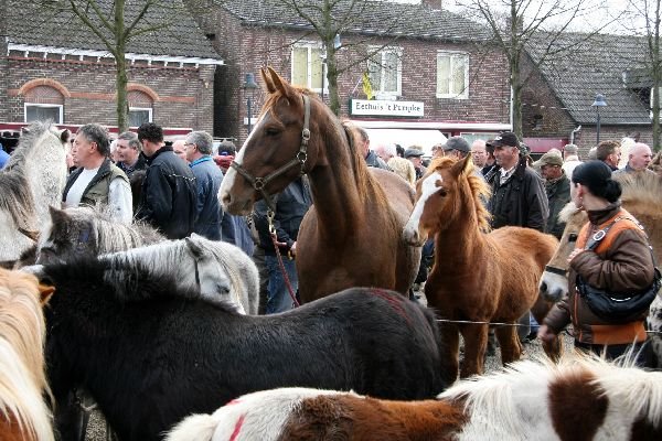 paardenmarkt16.jpg