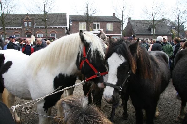 paardenmarkt18.jpg