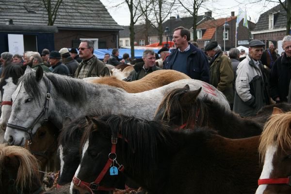 paardenmarkt23.jpg