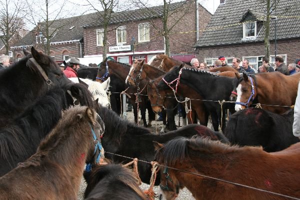 paardenmarkt7.jpg